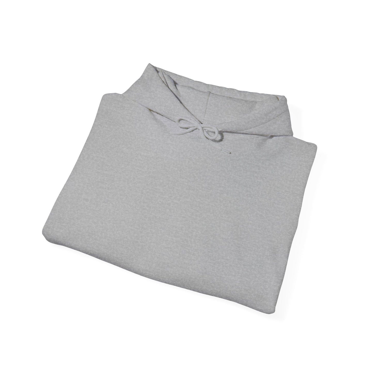 DARKSTAR HOOD-E